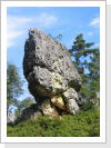 Klicken Sie auf das Bild, um es zu vergrößern