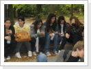 Klicken Sie auf das Bild, um es zu vergrößern