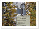 Klicken Sie auf das Bild, um es zu vergrößern
