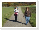 Klicken Sie auf das Bild, um es zu vergrößern