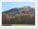 Klicken Sie auf das Bild, um es zu vergrößern