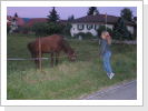 Klicken Sie auf das Bild, um es zu vergrößern