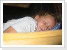 Klicken Sie auf das Bild, um es zu vergrößern