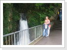 Klicken Sie auf das Bild, um es zu vergrößern